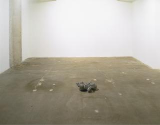 Antony Gormley - Baring Light I