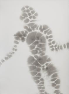 Antony Gormley - Body