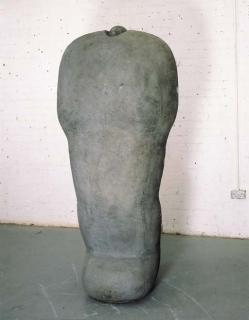 Antony Gormley - Body