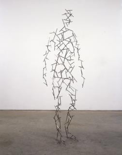 Antony Gormley - Domain Liii