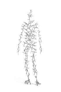 Antony Gormley - Domain LXIV