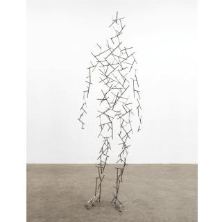 Antony Gormley - Domain Lxiv