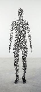 Antony Gormley - Domain VII