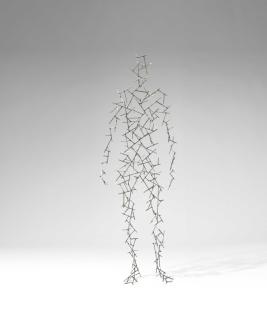 Antony Gormley - DOMAIN XXXIX