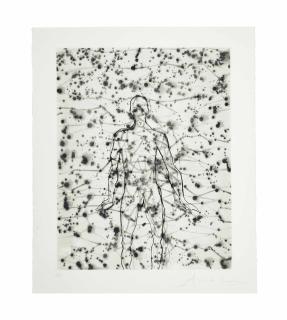 Antony Gormley - Domain