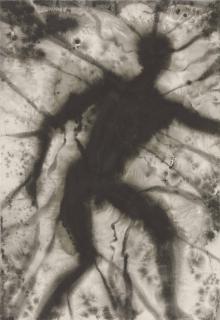 Antony Gormley - Ecology