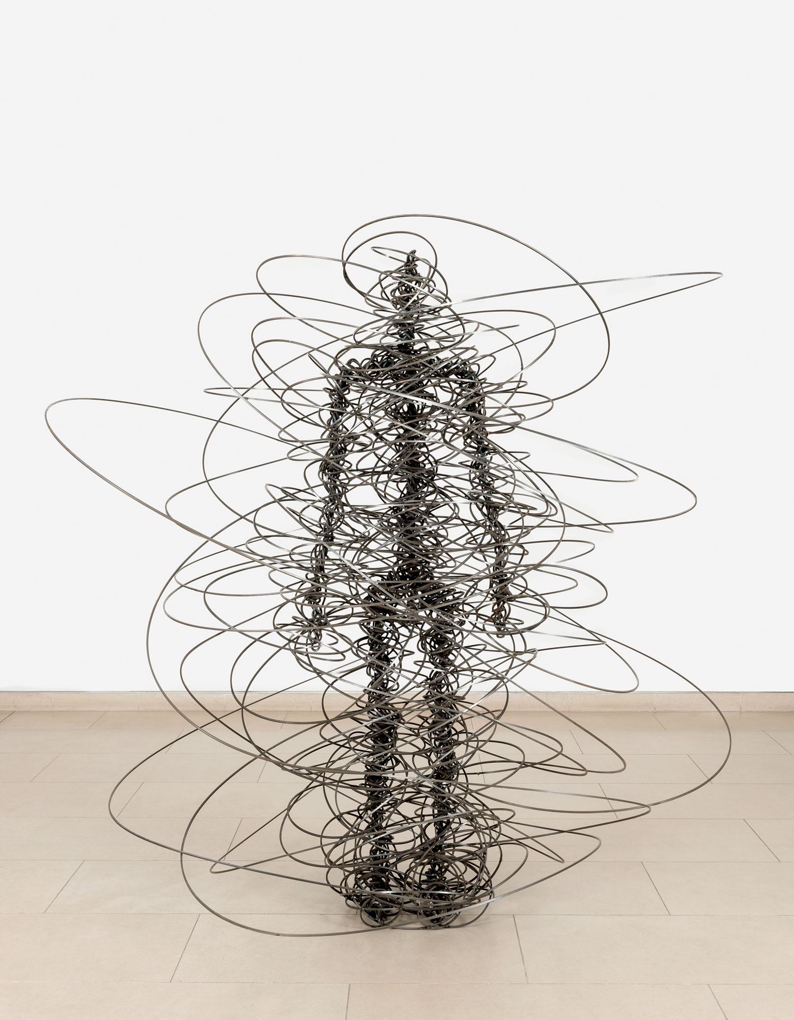 Antony Gormley - Feeling Material Xvii