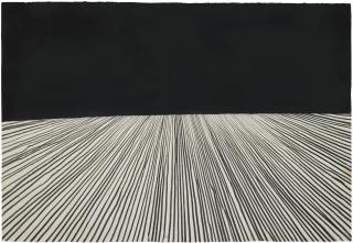 Antony Gormley - Field