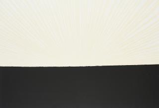 Antony Gormley - Field.