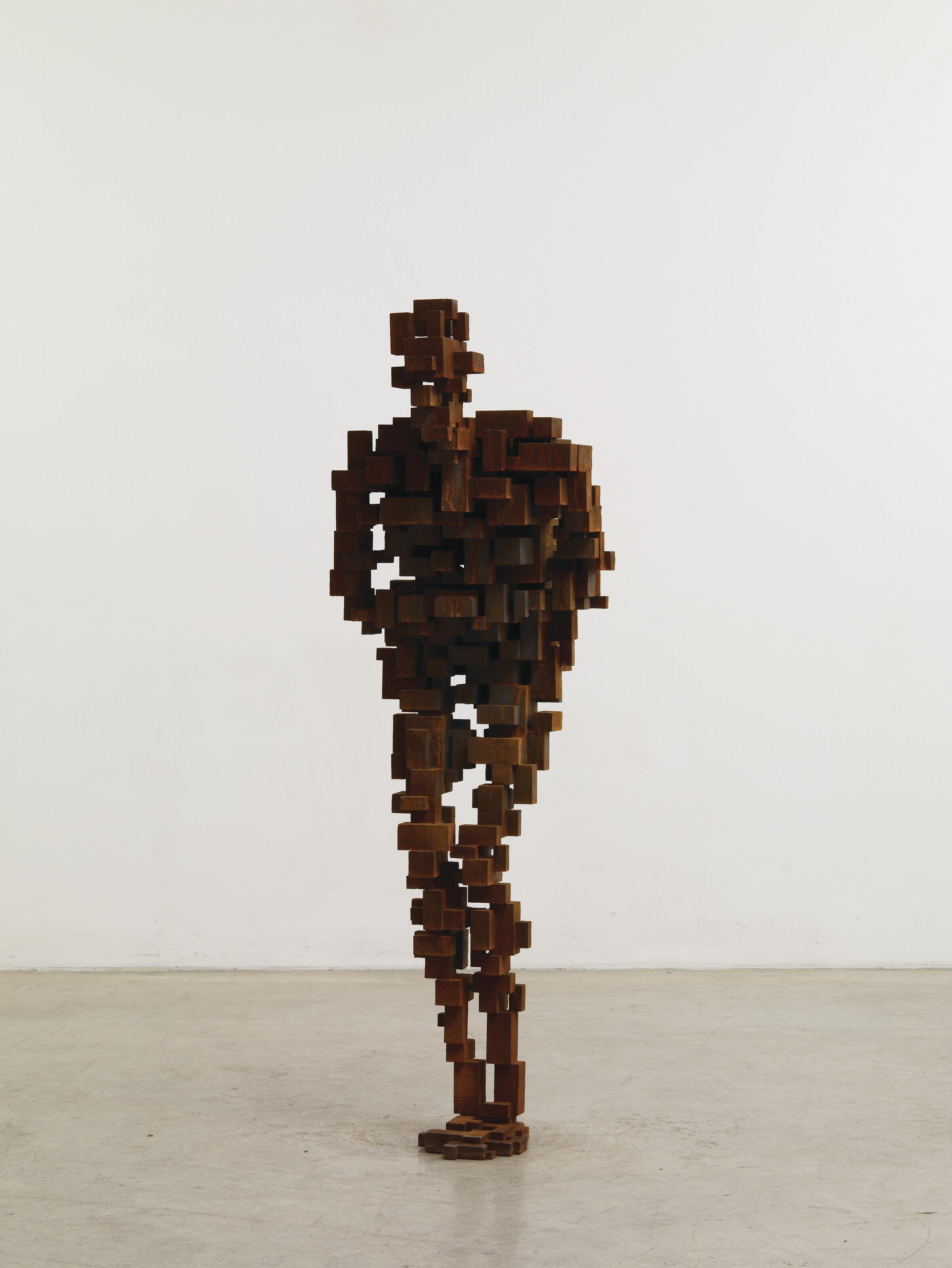 Antony Gormley - GUT VI