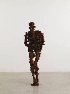 Antony Gormley - GUT VI