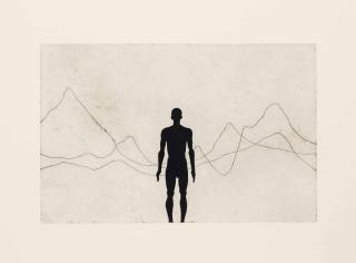 Antony Gormley - Horizon Field