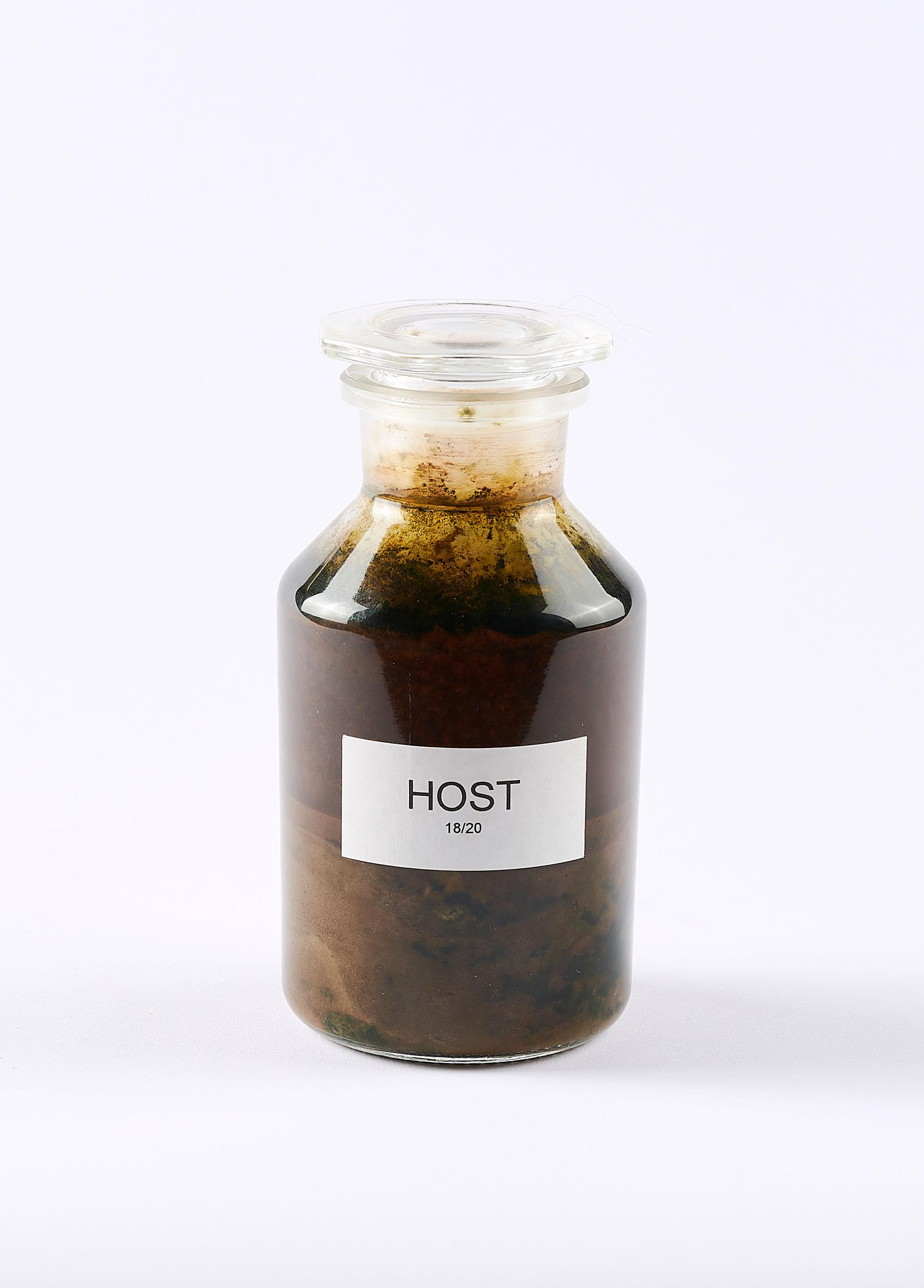 Antony Gormley - Host.