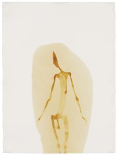 Antony Gormley - Insider IV