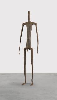 Antony Gormley - Insider Vii