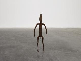 Antony Gormley - Insider Xiv (Child)