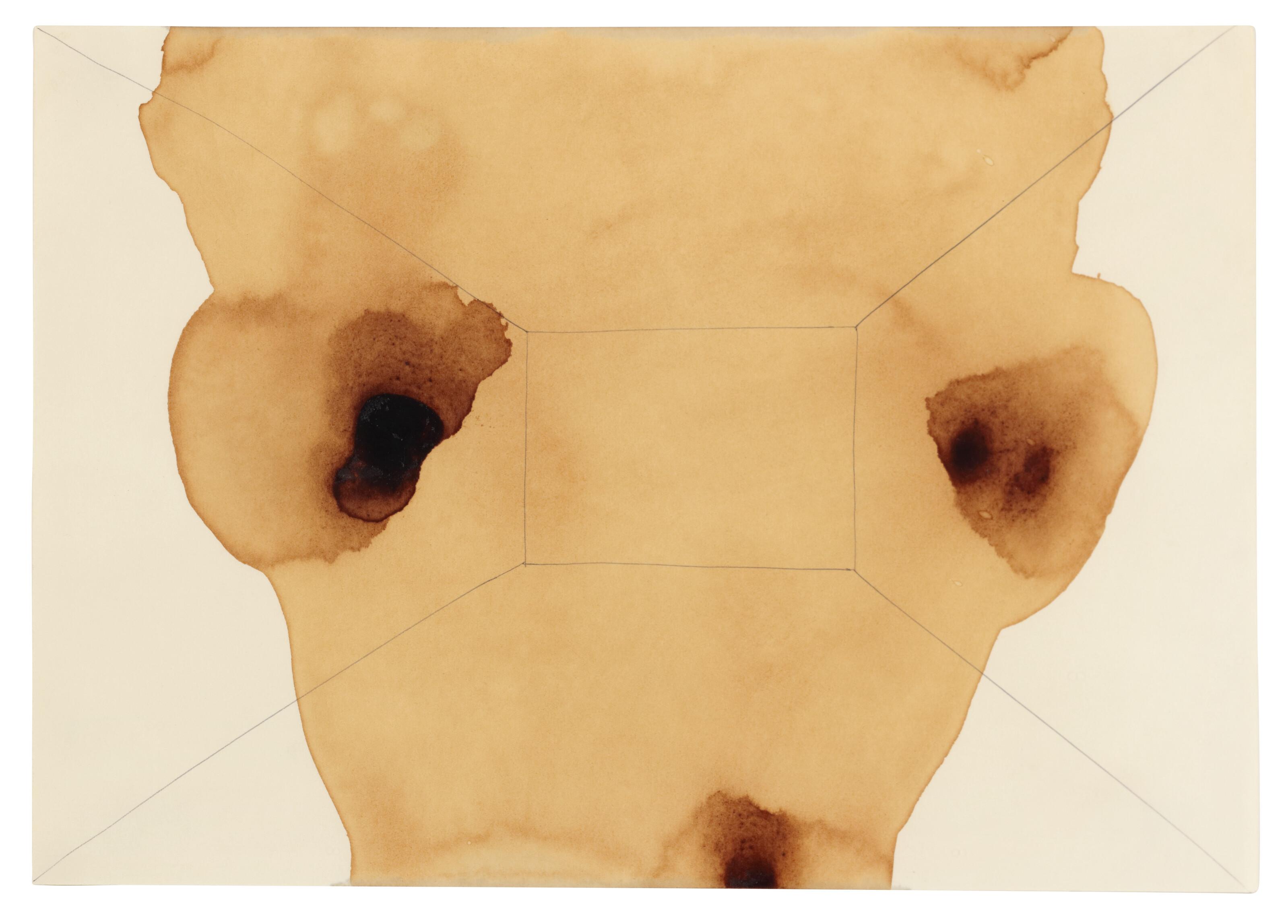 Antony Gormley - Interior Conceit