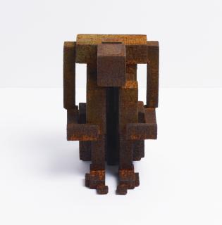 Antony Gormley - Meme Cv
