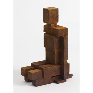 Antony Gormley - Meme Lxxix