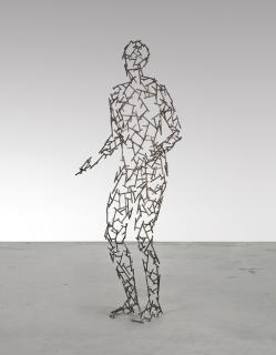 Antony Gormley - Meniscus