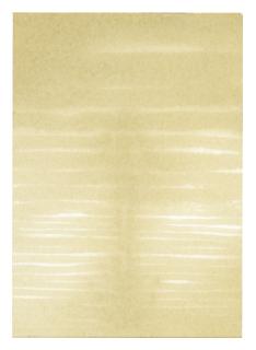 Antony Gormley - Reflection Vi