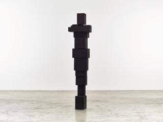 Antony Gormley - Reserve II