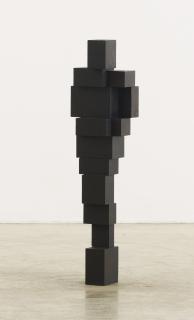 Antony Gormley - Small Gut 2 Ii