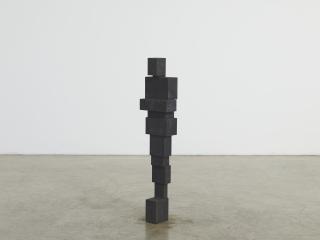 Antony Gormley - Small Witness III