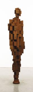 Antony Gormley - Stand IX