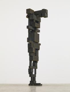Antony Gormley - Submit Iv