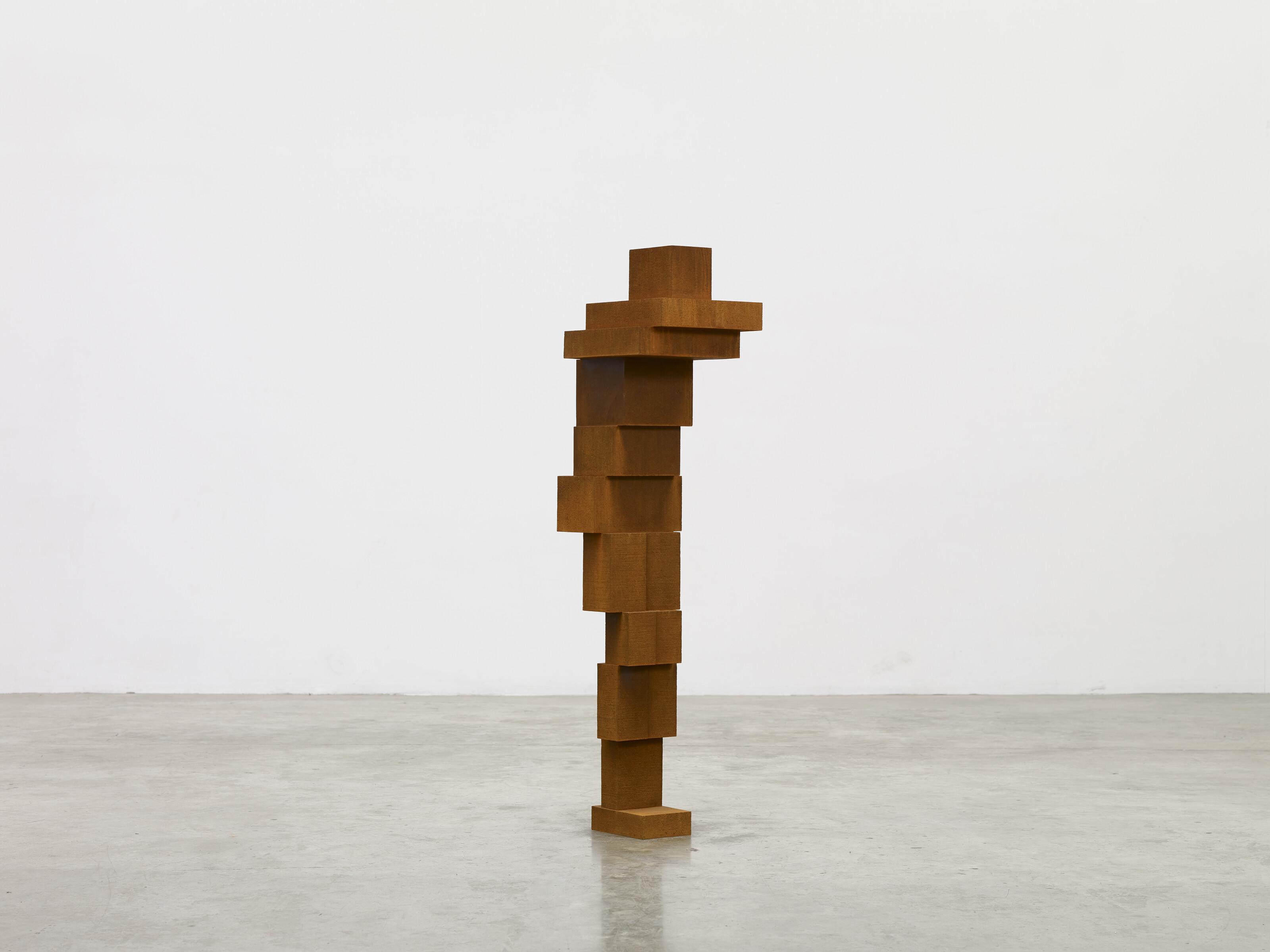 Antony Gormley - WRAP
