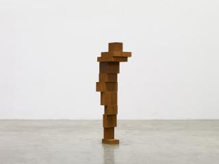 Antony Gormley - WRAP