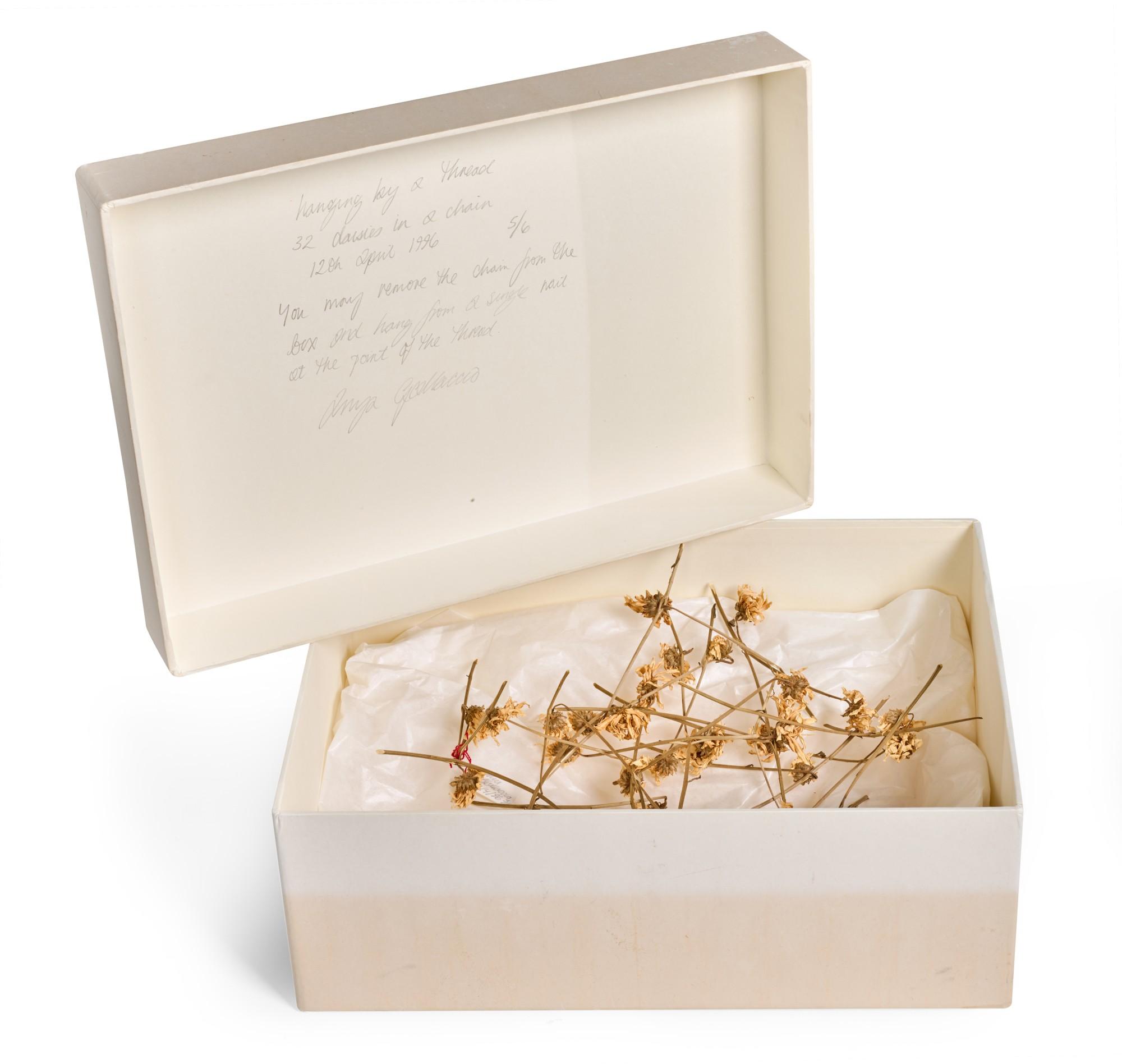 Anya Gallaccio - Hanging By A Chain