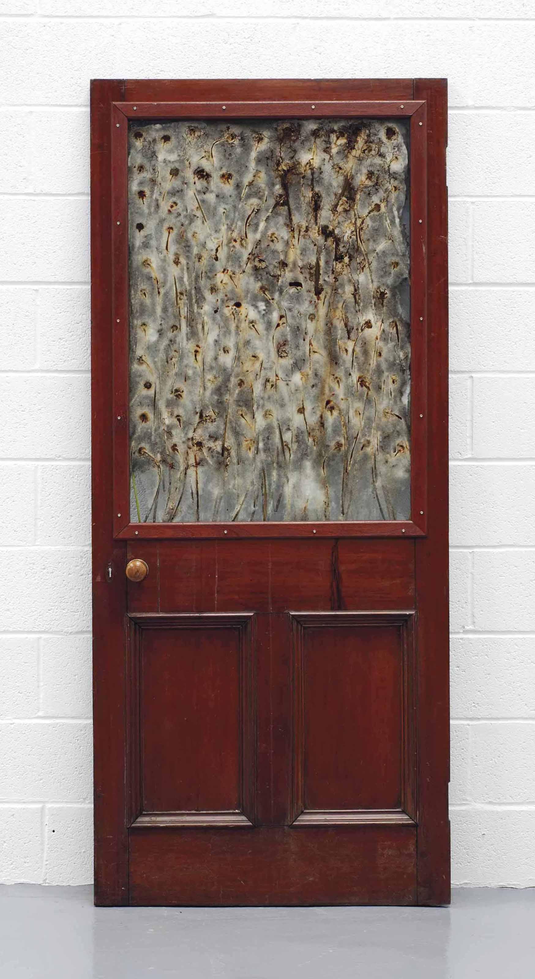 Anya Gallaccio - Red Door With Handle