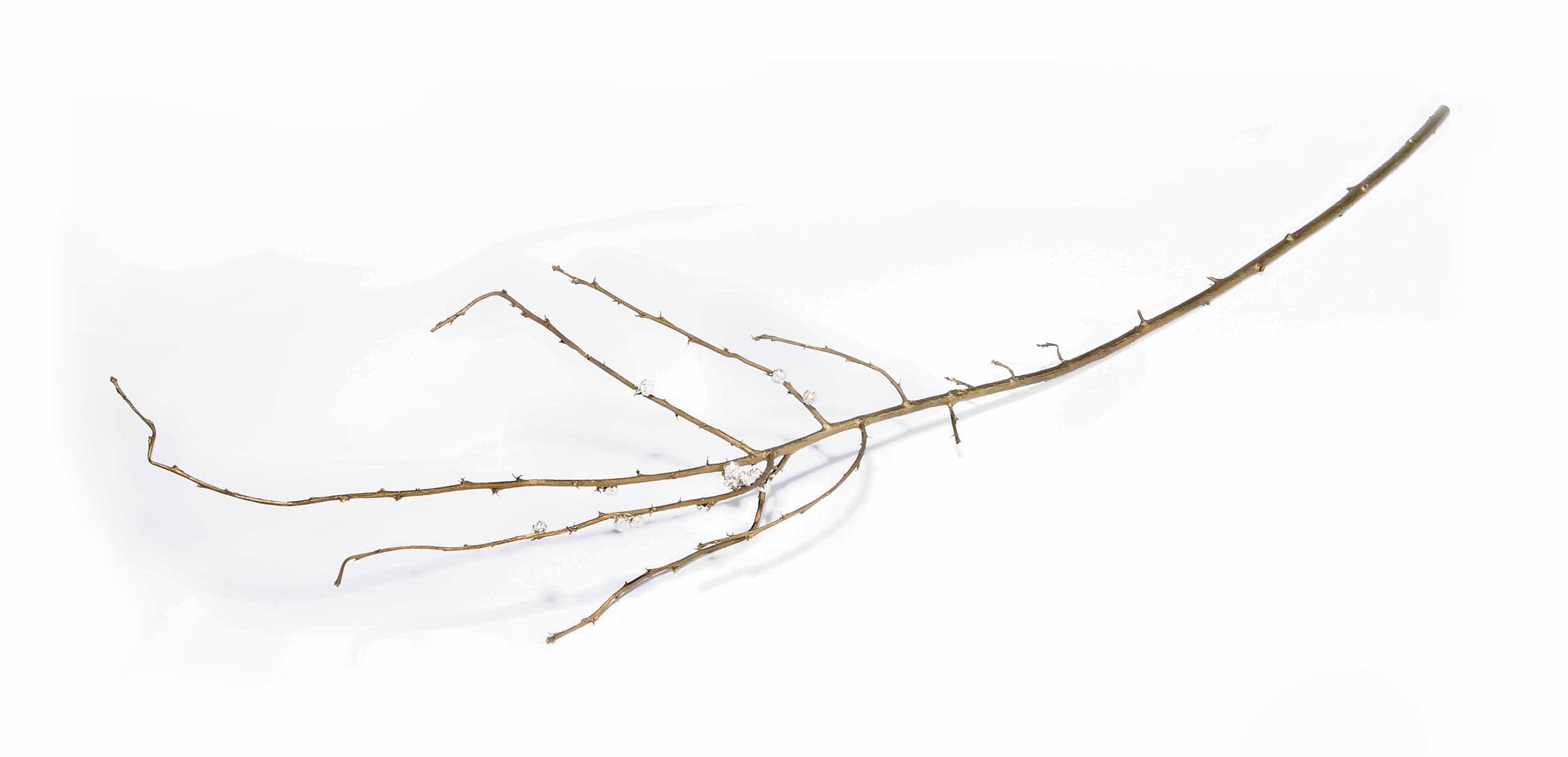 Anya Gallaccio - The Feeling\'s Gone and I Just Can\'t Get It Back