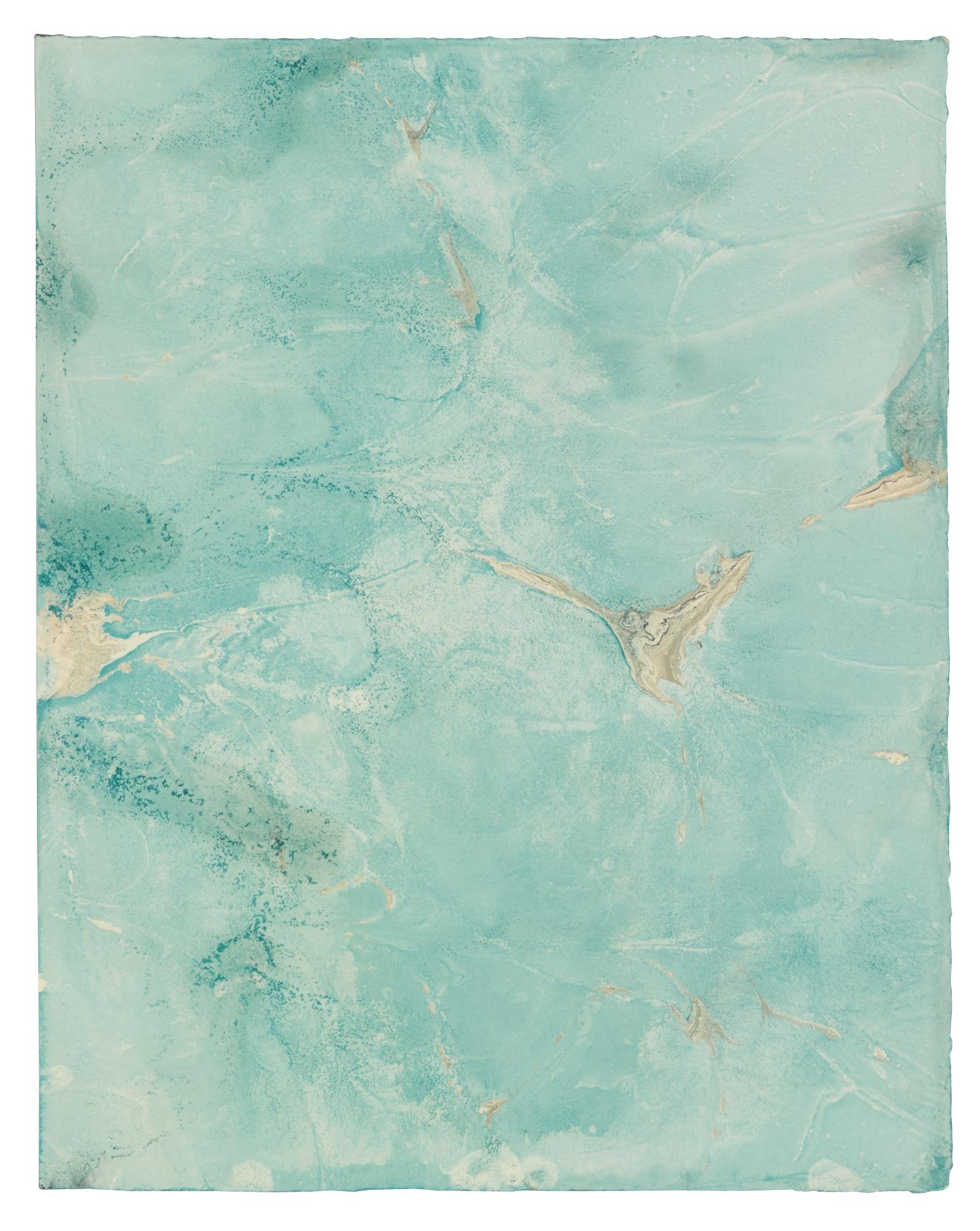 Anya Gallaccio - Untitled