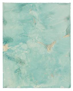 Anya Gallaccio - Untitled