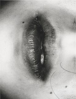 Araki Nobuyoshi - Erotos