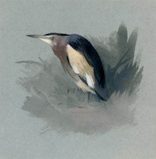 Archibald Thorburn - A heron waiting in the marshes