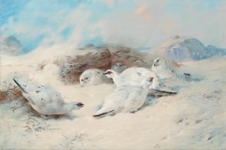 Archibald Thorburn - Ptarmigan seeking shelter