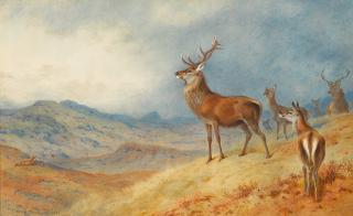 Archibald Thorburn - Red Deer In A Highland Landscape