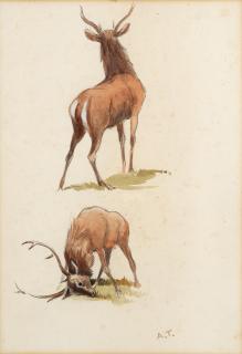 Archibald Thorburn - Studies of stags; a pair