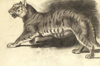 Archibald Thorburn - Study of a tiger