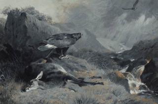 Archibald Thorburn - The Dead Hind