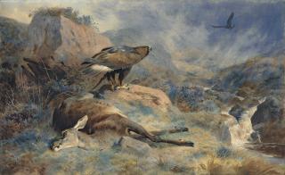 Archibald Thorburn - The Lost Hind