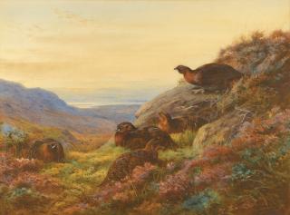Archibald Thorburn - When The Gloaming Comes - Red Grouse