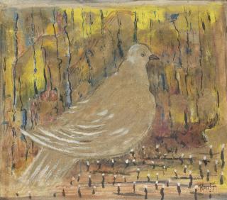 Aref Al Rayyes - The Pigeon