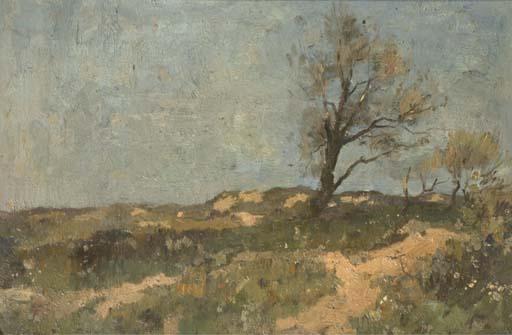 Aris Knikker - In the dunes