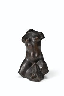 Aristide Maillol - Torse Sur Un Dauphin