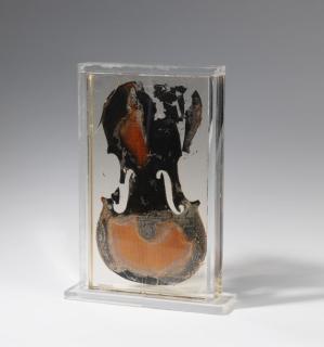 Arman Fernandez - Violine